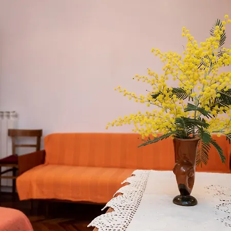 & Mira Guest house *