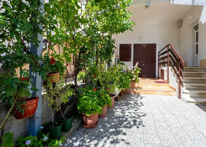 게스트하우스 & Mira 바슈카